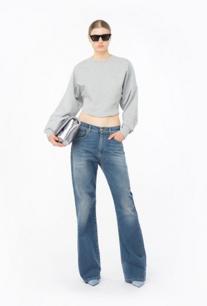 Pinko Cropped Sweatshirt Tmavě Šedé | SN-PKO33460